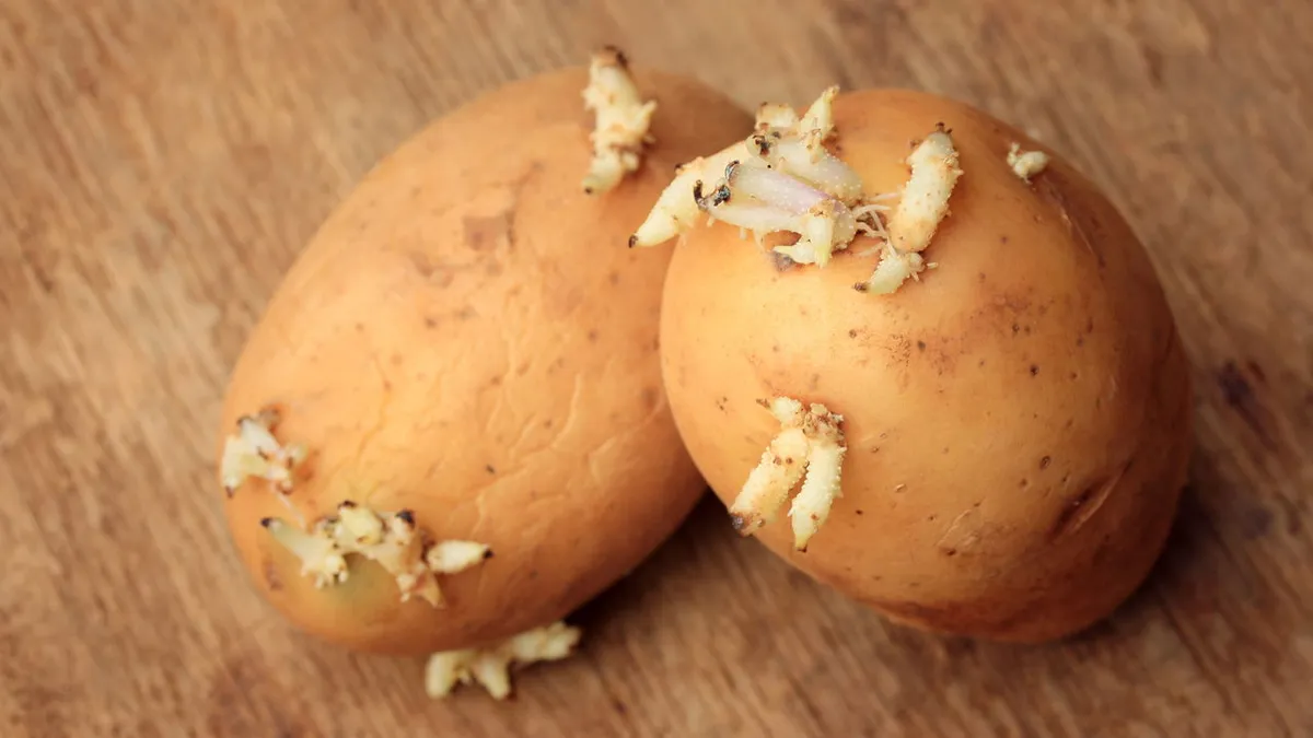 De kunst van het invriezen: aardappelen langer vers houden