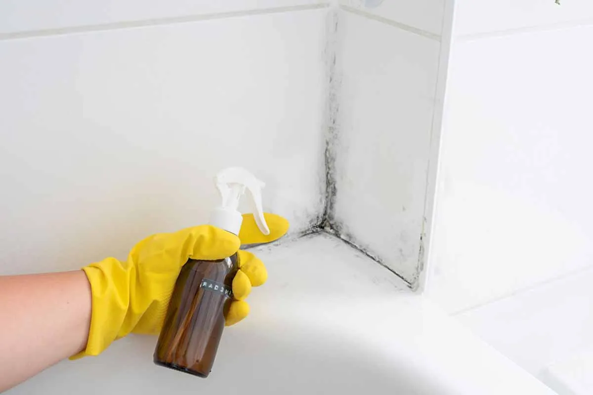 Toerisme in Nederland nam flink toe in 2023