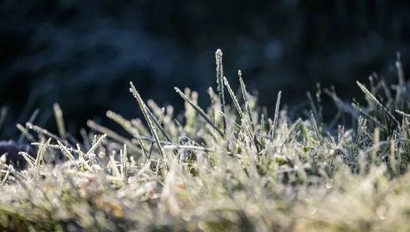 De winter is er niet zomaar: al voelt de lucht ijzig, kou is onmisbaar voor de natuur